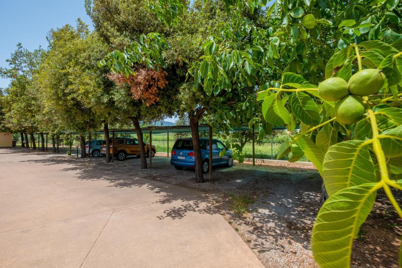 Agriturismo La Fata Grosseto Ngoại thất bức ảnh