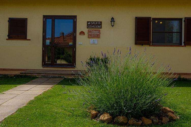 Agriturismo La Fata Grosseto Ngoại thất bức ảnh